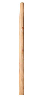 Earl Clements Didgeridoo (EC506)